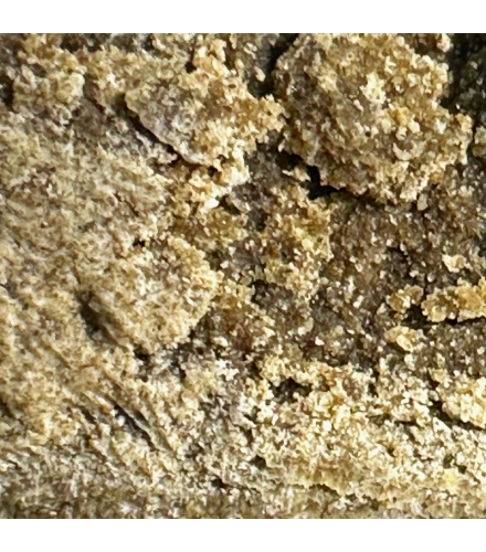 Résine Static 50% CBD