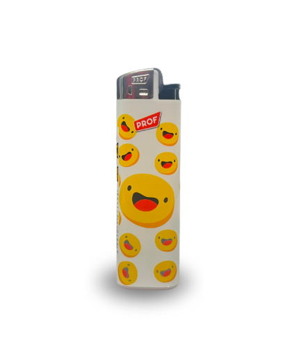 Briquet CBD PROF