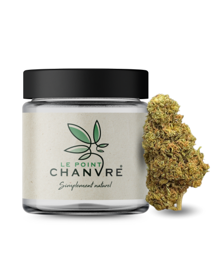 Gorilla Glue CBD - Indoor