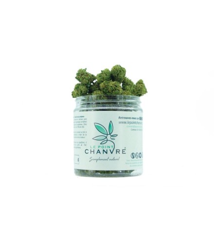 Small Buds White Gorilla Cup