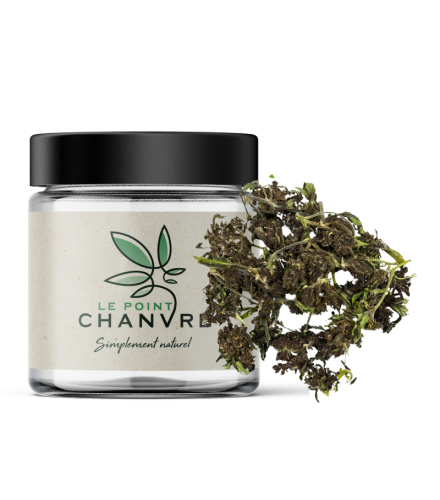 Small Buds Purple Kush CBD