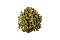 Small Buds Gelato CBD