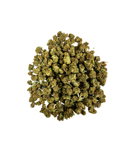 Small Buds Gelato CBD