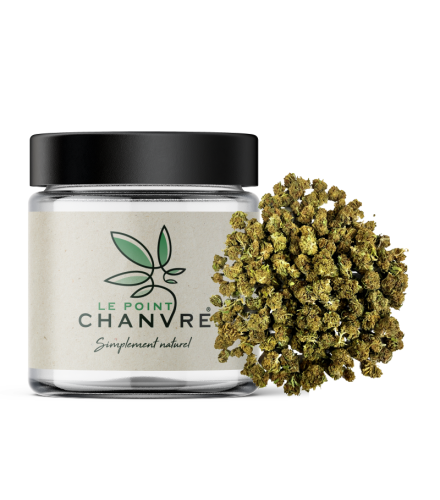 Small Buds Gelato CBD