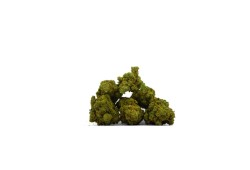 Jungle Cake Indoor CBD