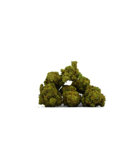 Jungle Cake Indoor CBD