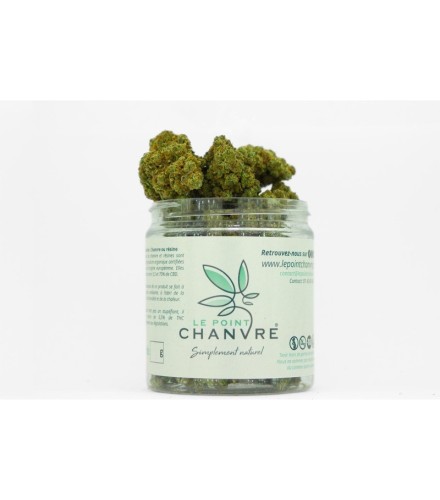 Jungle Cake Indoor CBD