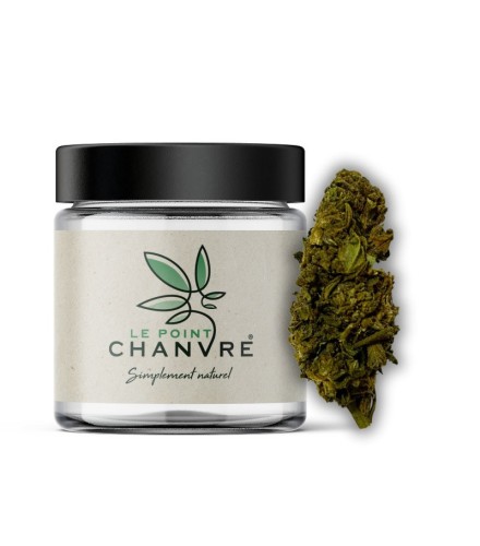 Tropicana Cookie CBD