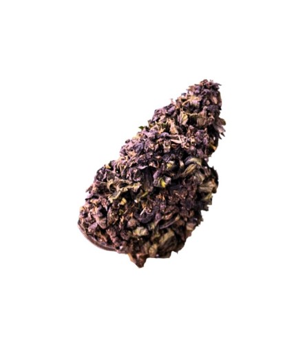 Purple Haze CBD