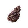 Purple Haze CBD