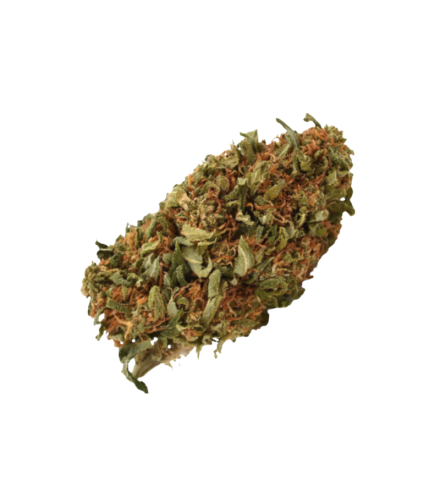Orange Bud CBD