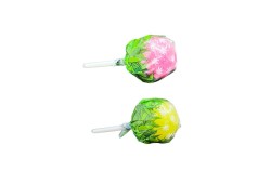 Sucettes Cannabis Lollipops