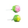 Sucettes Cannabis Lollipops