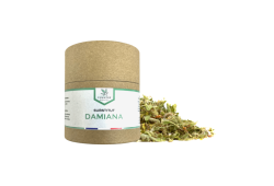 Damiana - Substitut de tabac
