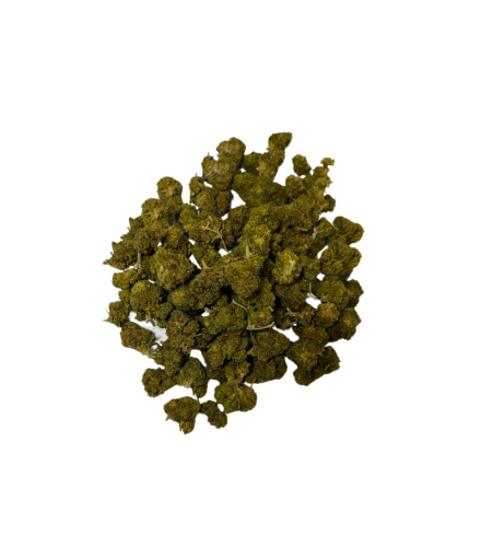 Small Buds Pineapple