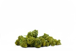 Big Small Buds Alpine CBG - Le Point Chanvre