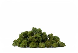 Smallbuds CBD Cookie Kush