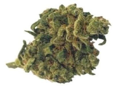 Présentation de la fleur de CBD Strawberry