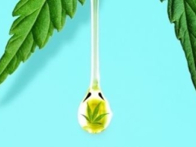 Qu'est-ce que l'huile de CBD ? 