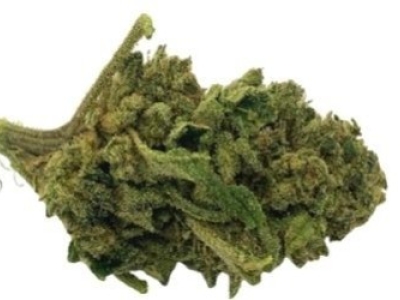 Présentation de la fleur de CBD Cheesecake