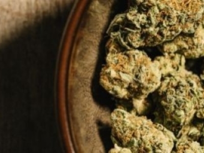 Est-ce que le CBD est une drogue ?