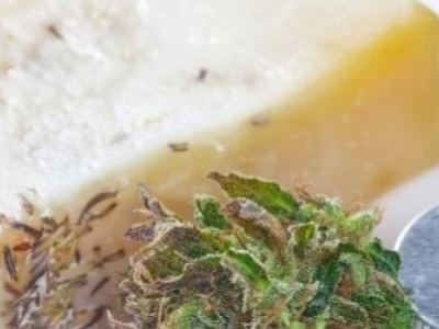 Quels sont les bienfaits des cosmétiques à base de CBD ?