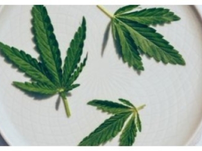 Comment consommer la fleur de CBD ?