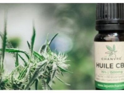 FAQ sur les huiles de CBD