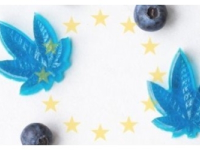 Le CBD n’est pas un stupéfiant selon l’Union Européenne 