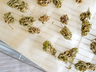 Qu’est ce que la décarboxylation du chanvre ?