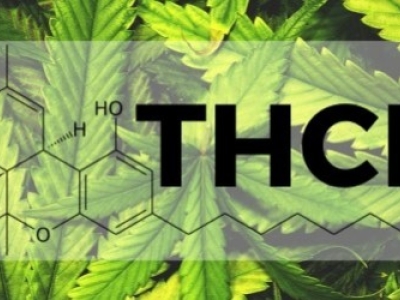 THC-P, le nouveau cannabinoïde puissant.