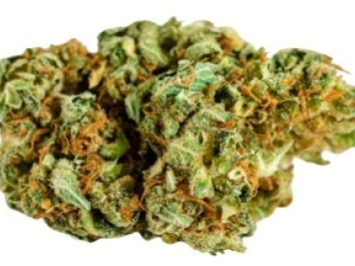 Présentation de la fleur Widow White.