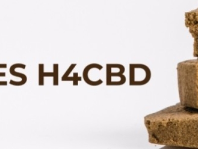 Les résines H4CBD