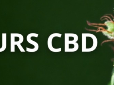 Fleurs de CBD : Quel est le meilleur cbd en France ?