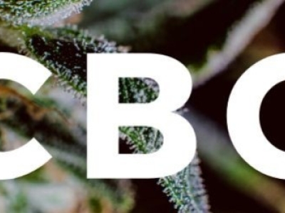 Qu'est ce que le CBG ?