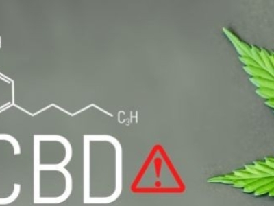 Les dangers du CBD