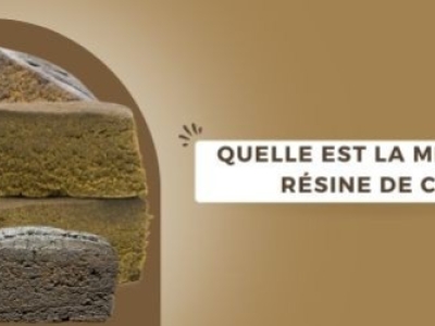 Quelle est la meilleure résine de CBD ? 