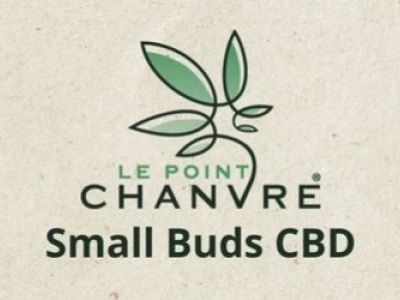 Découvrez les Small Buds CBD 