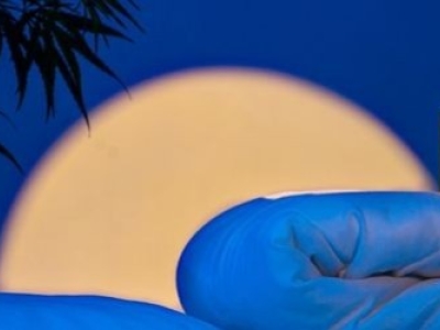 Quelle Huile de CBD pour dormir ?