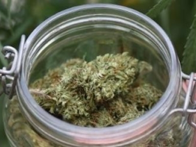 Top 10 des fleurs les plus consommées 