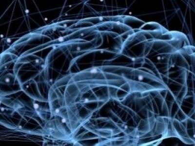 Les effets du CBD sur la mémoire