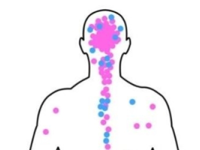 Comment le CBD agit sur l’organisme ? 