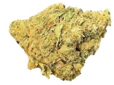 OG Kush et son univers captivant.