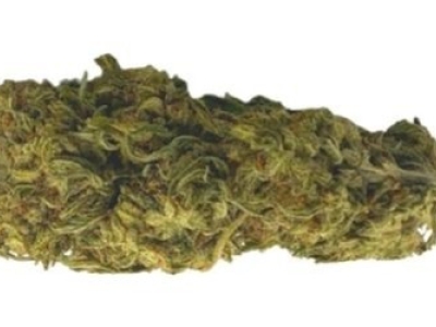 Présentation de la fleur CBG Sunset