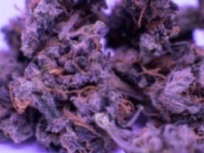 Comment comprendre les indications de puissance sur les produits au CBD ?