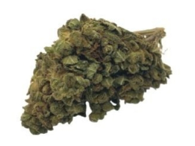 Présentation de la fleur CBD Melon