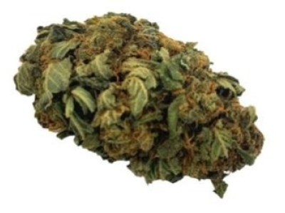 Présentation de la fleur de CBD Cheese