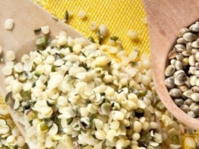 Quels sont les bienfaits des graines de chanvre ?